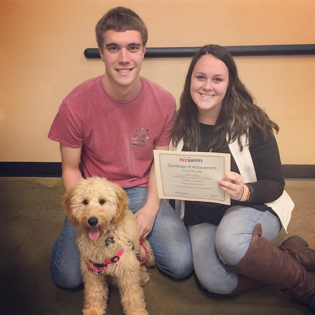 Got Paisley and she passed puppy school! 2017