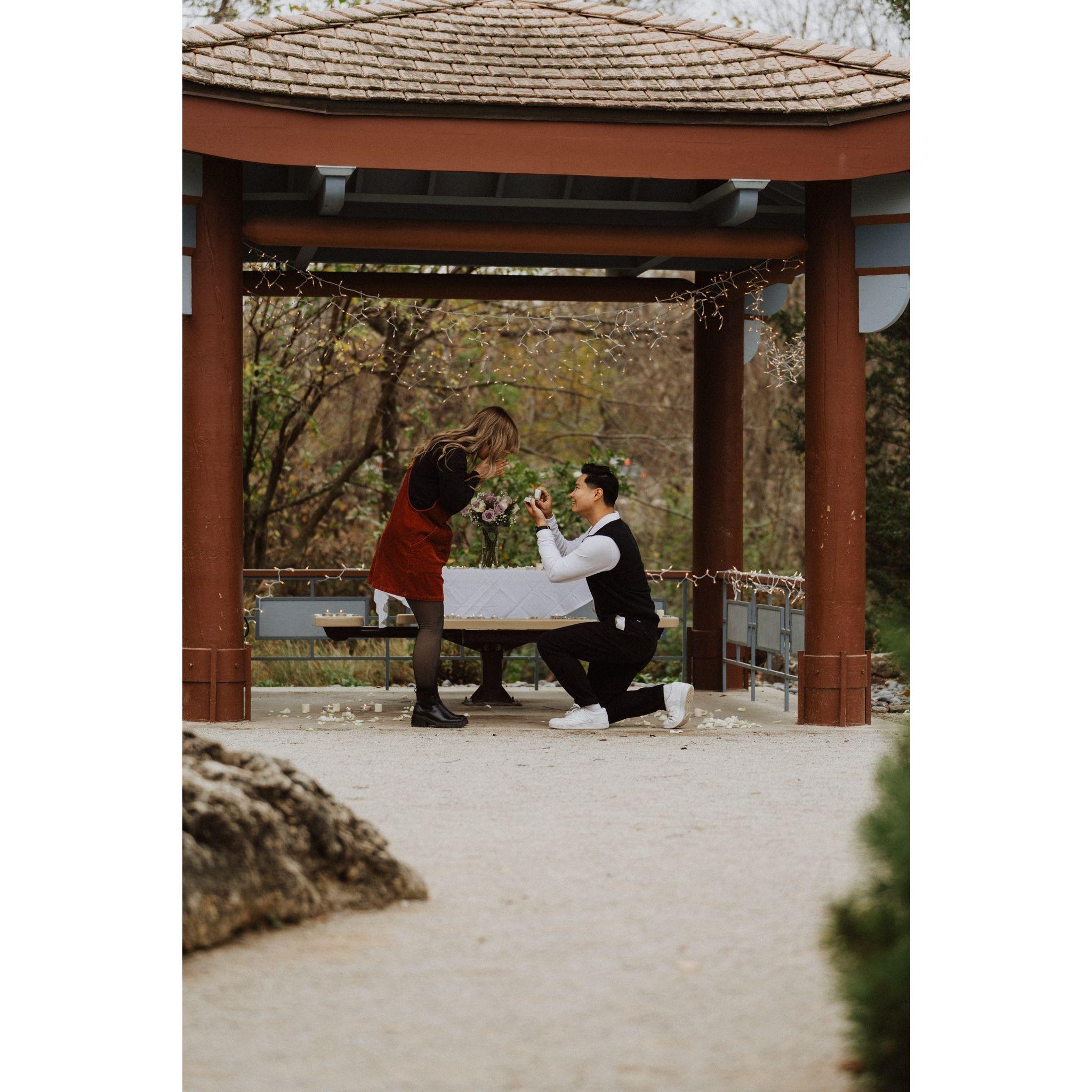 The proposal.
