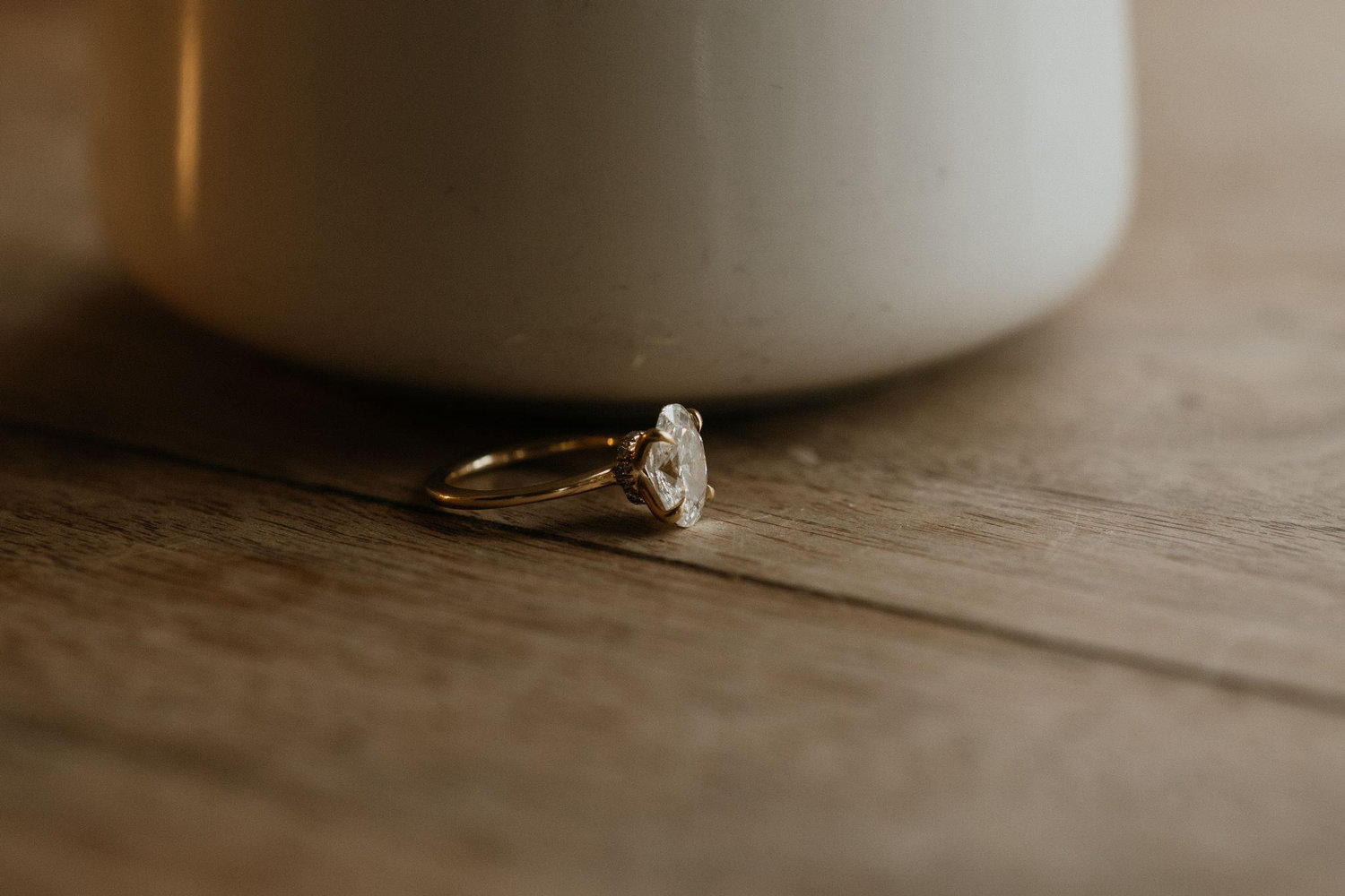The Wedding Website of Lesley Nicosia and Anthony Lomoriello