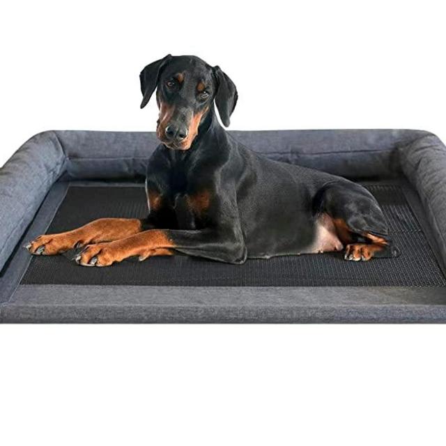 PETIME Cooling Elevated Pet Cushion Bed Raised Dog Cots Beds for Small Dogs, Portable Indoor & Outdoor Pet Hammock Bed, Frame with Breathable Mesh and Removable Bolsters (48 Inch)