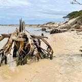 Savage Neck Beach