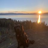 Palisades Tahoe