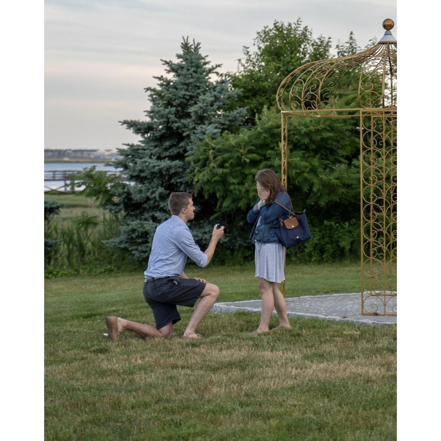 The Proposal