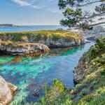 Point Lobos State Natural Reserve