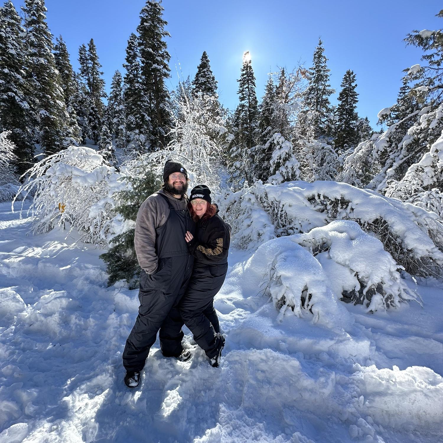 tree hunting