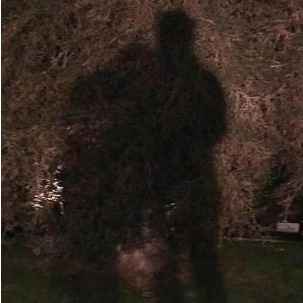 The Day Chelsea Fell for Steven