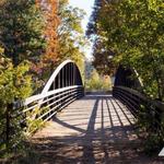 Murphey Candler Park