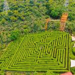 Concepción de Ataco Coffee Tour and Tasting, Buggy Tours, Maze