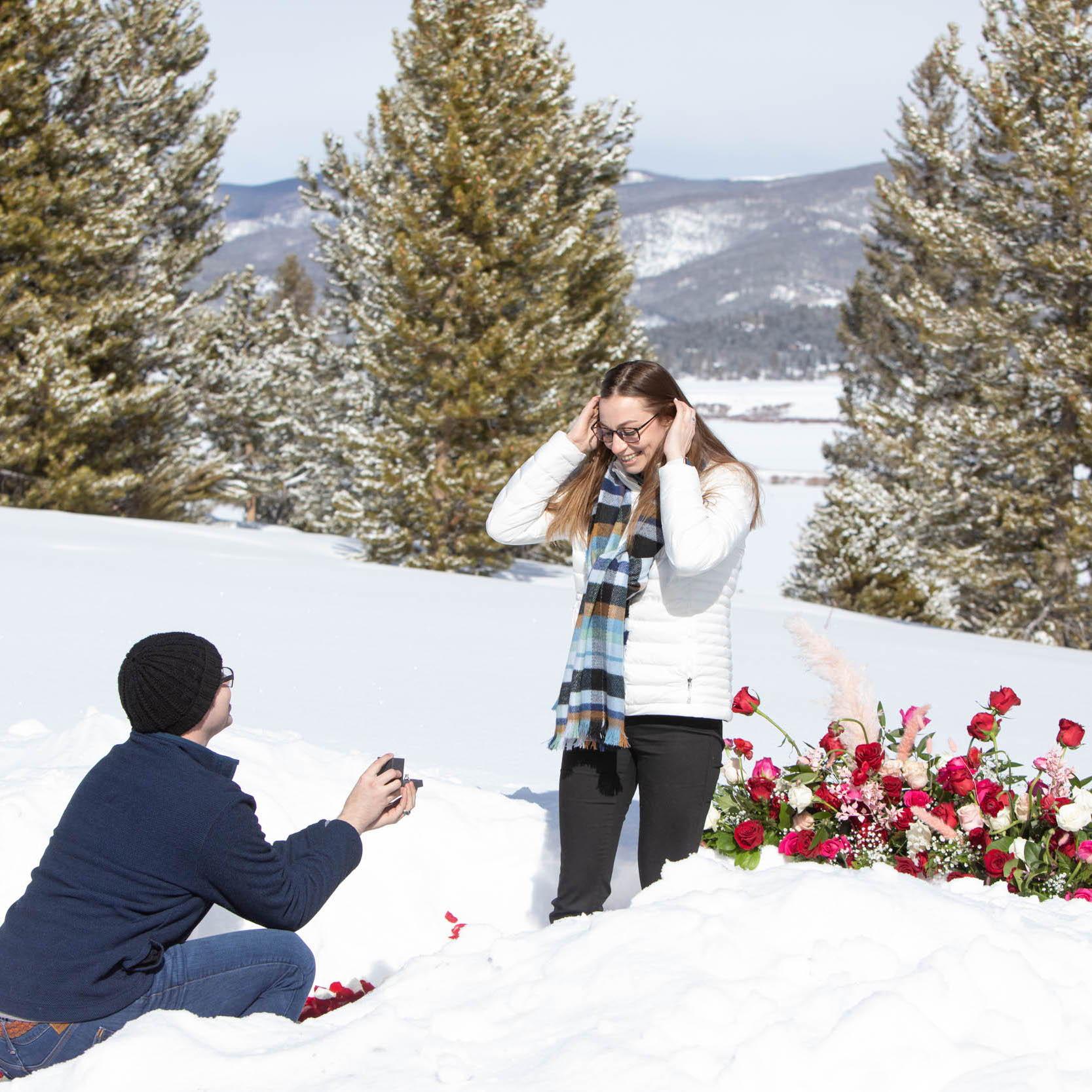The Proposal 
