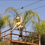 Canopy Tour by Zipline
