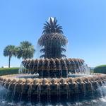 Pineapple Fountain