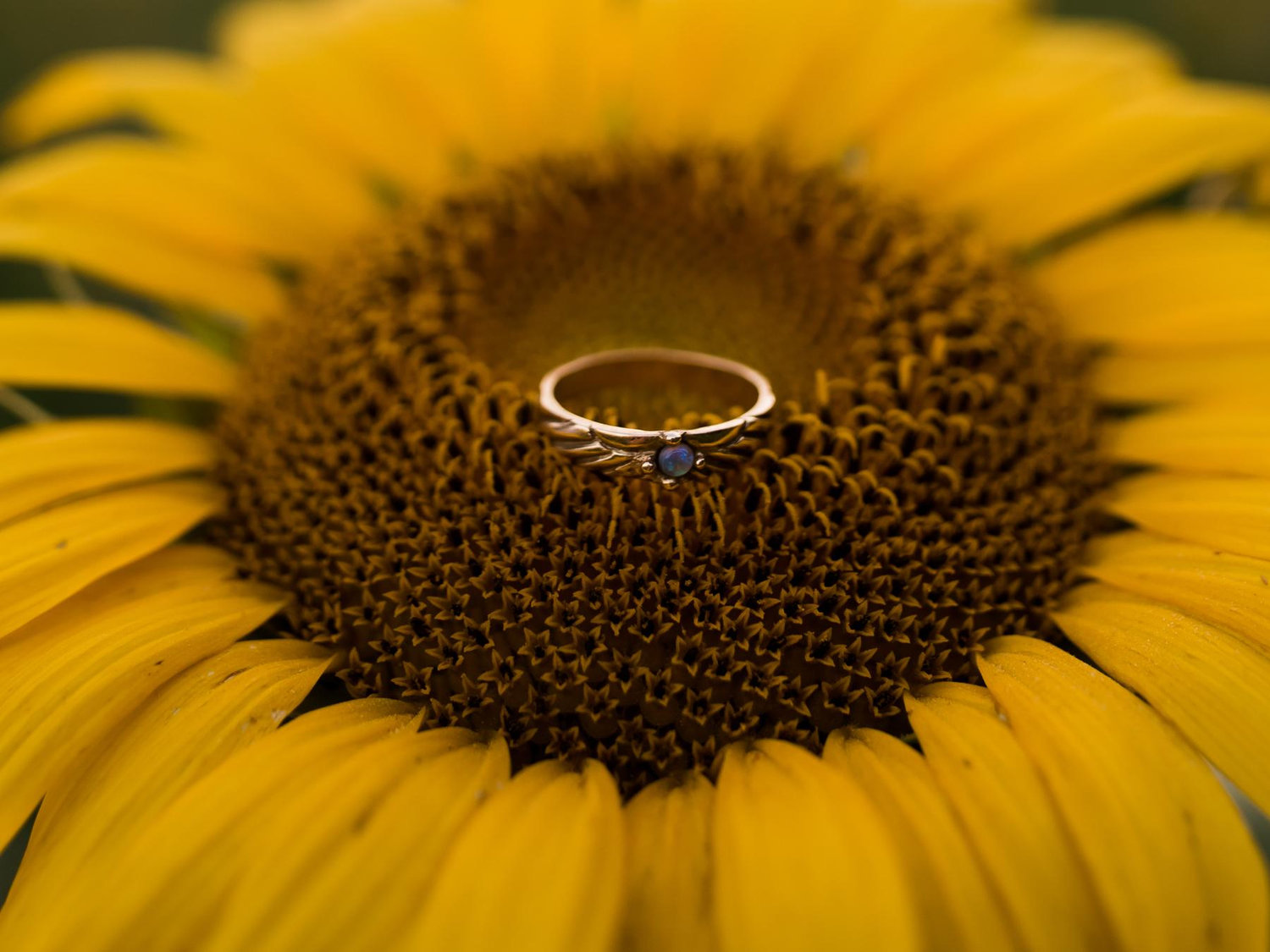 The Wedding Website of Ashley Olivera-Russell and Robert Bales