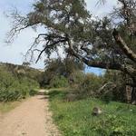 Las Virgenes Canyon Trailhead