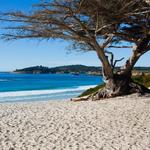 Carmel Beach