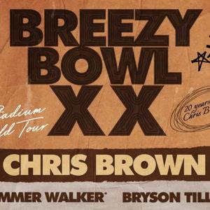 Chris Brown 2025 Concert!!