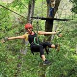 Canopy Zip Line