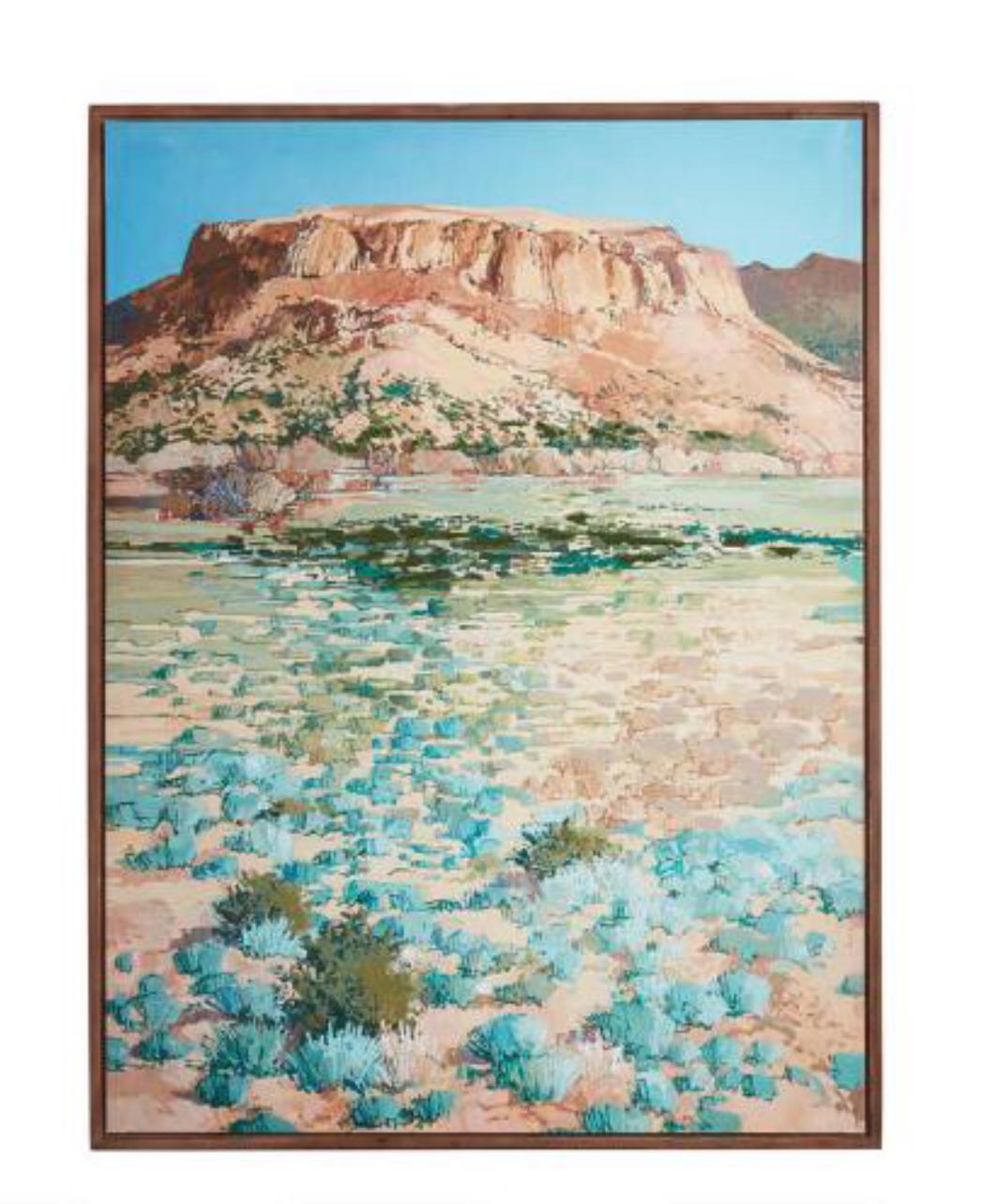 Desert Plateau by Douglas Atwill Framed Canvas Wall Art