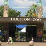 Houston Zoo