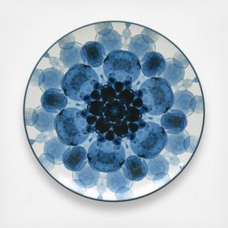 Colorwave Dapple Accent Plate