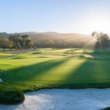 The Quail
