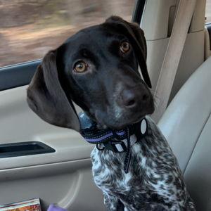Millie's Daycare Fund