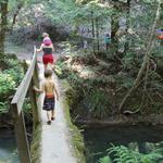 Mendocino Woodlands State Park Camp 3