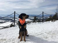 Mount Philo