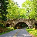 Park Loop Road