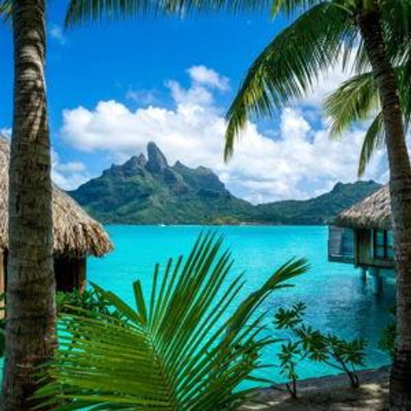 Honeymoon Fund