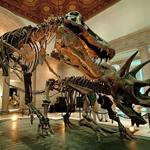 Natural History Museum of Los Angeles County