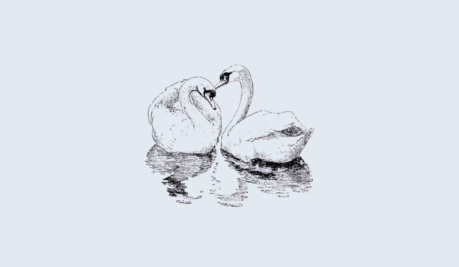 Footer image