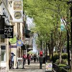 Walk/Shop Main Street