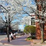 Washington Street