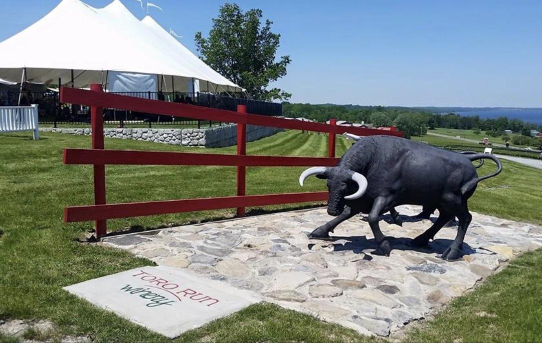 The Wedding Website of Kelsey Gardner and Francisco Ruiz Sánchez