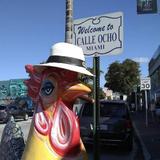Little Havana