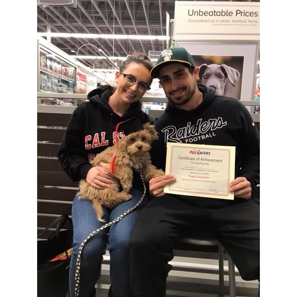 Louis' puppy school graduation.