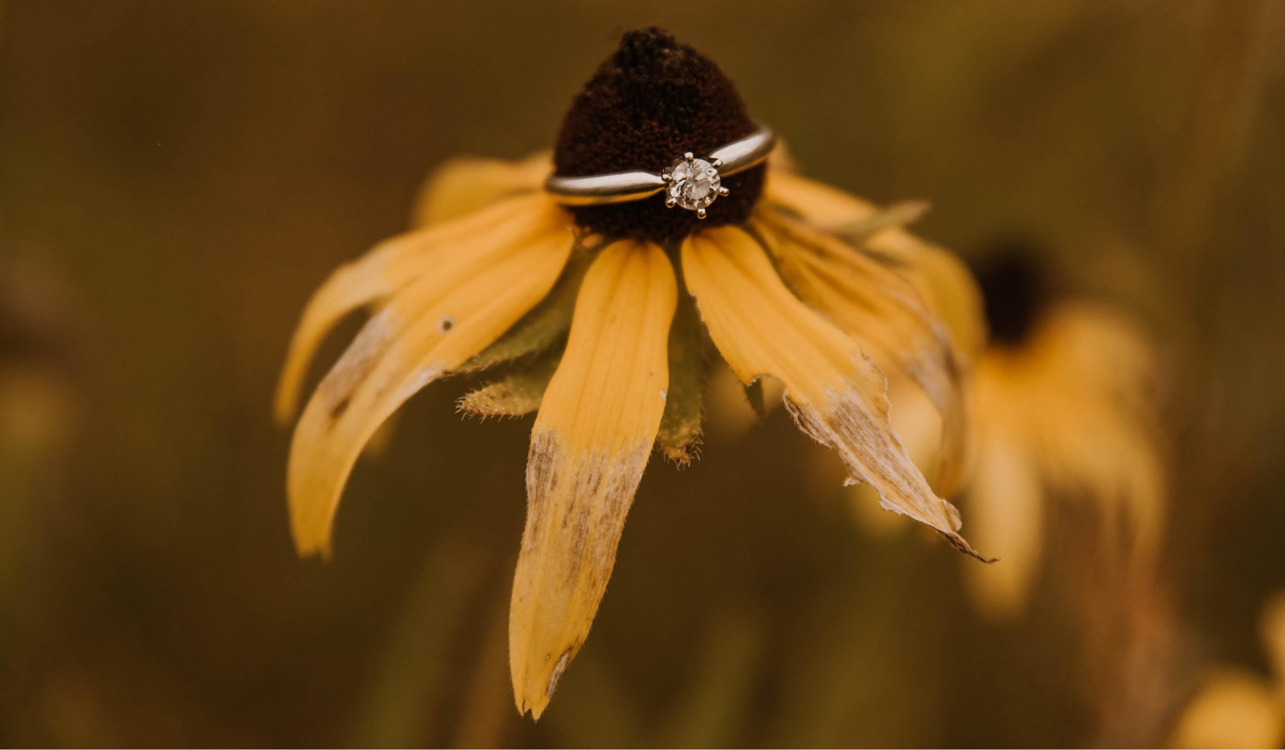 The Wedding Website of Dani Cochran and Peter Craig