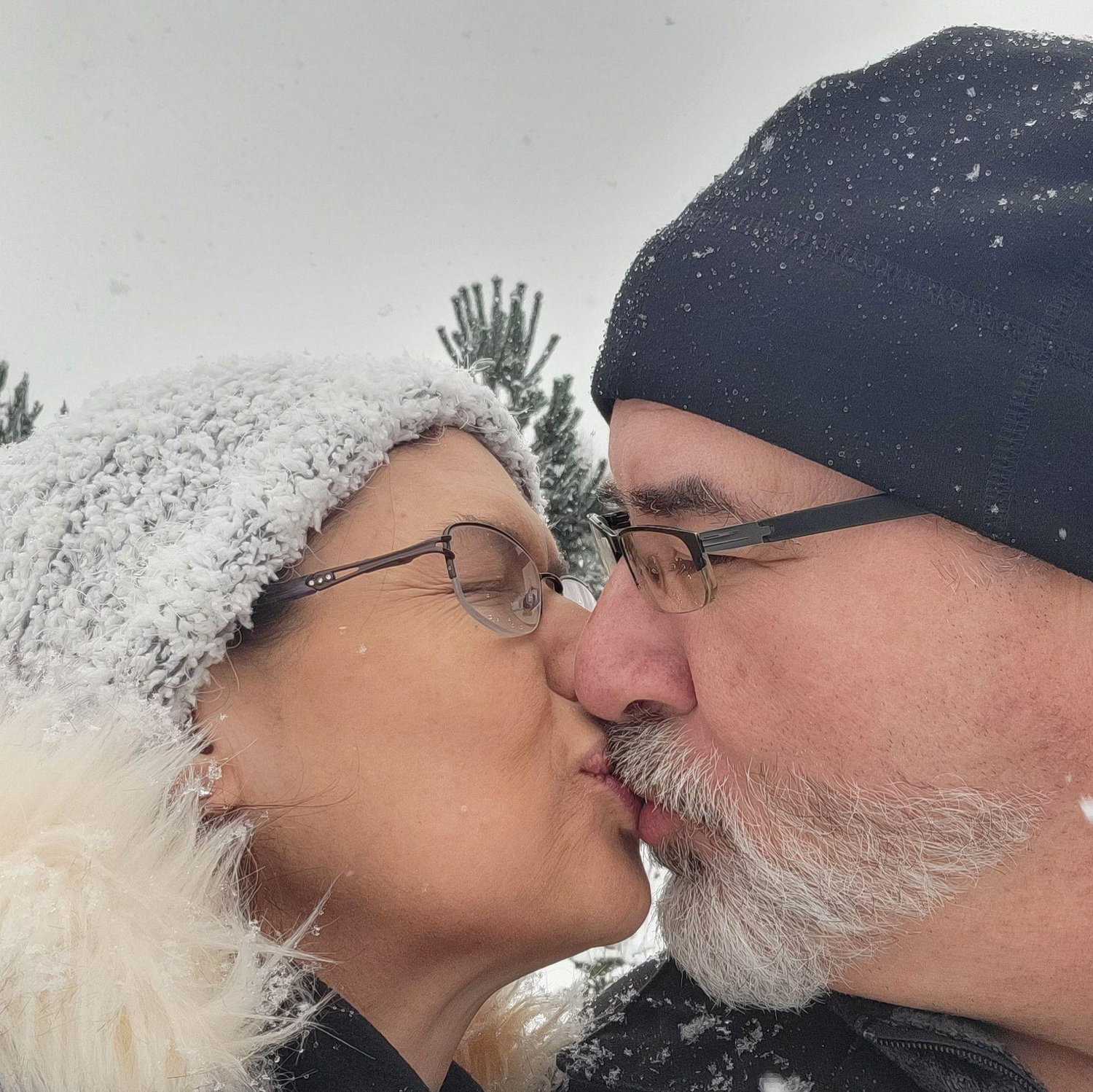 Every winter we hunt for the perfect live Christmas tree together
