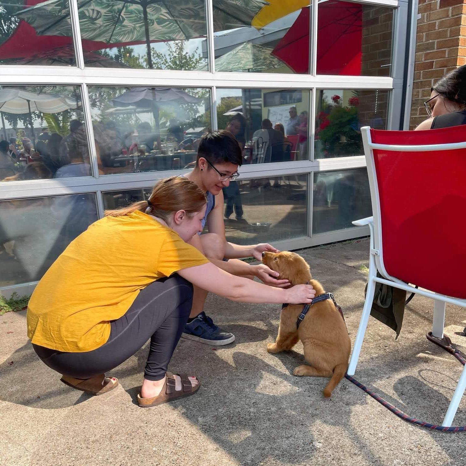 Ari and Teresa will pet any dog, anywhere, anytime. (With owner's permission!)