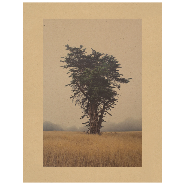 Joslyn Lawrence, Song for the Westgate, Archival Ink Print on Paper