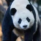 Smithsonian National Zoological Park