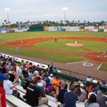 Daytona Tortugas