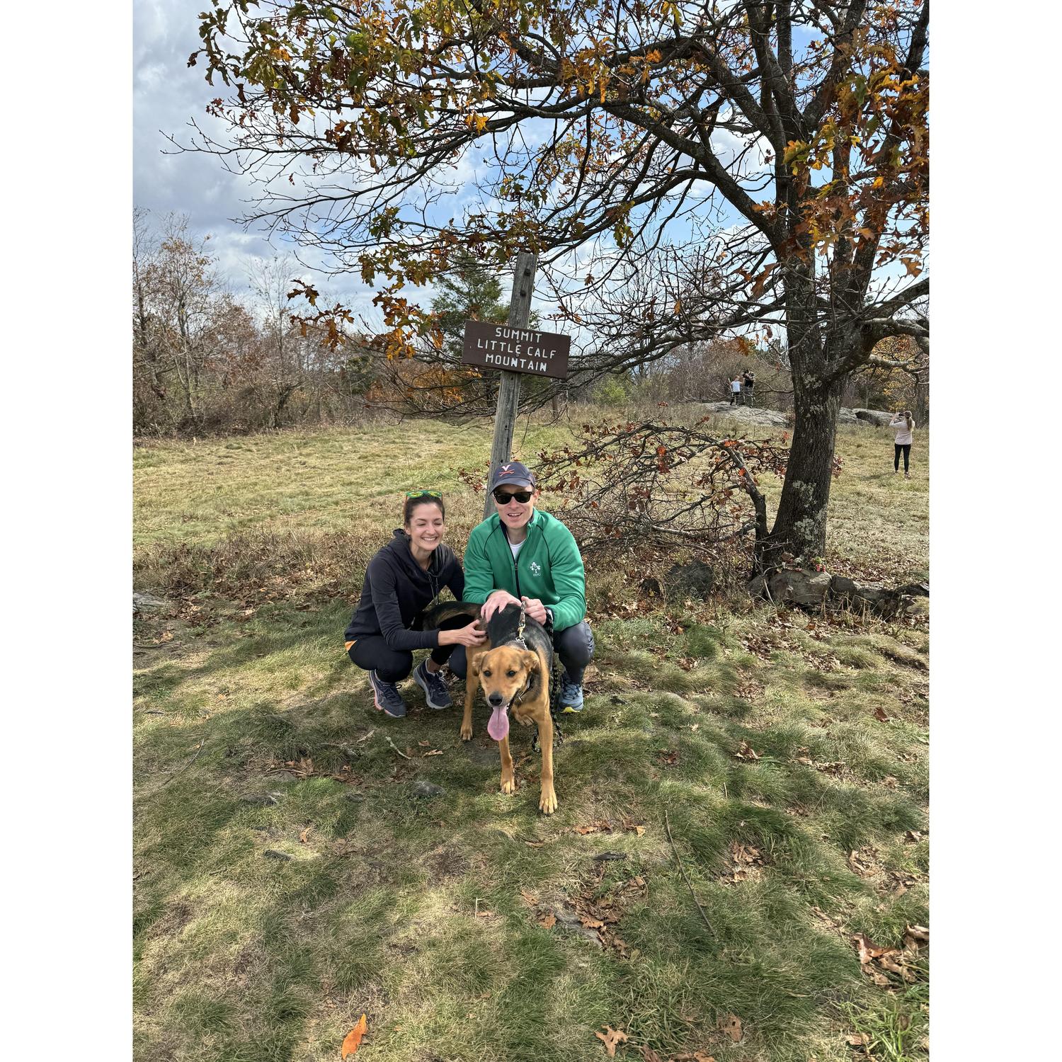 Family hike in the Shenandoah