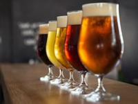 Bandit Brewing Co.