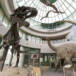 North Carolina Museum of Natural Sciences