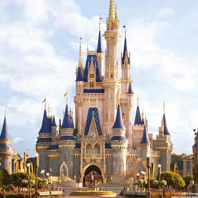 Our Disney Honeymoon!