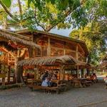 Carabali Rain Forest