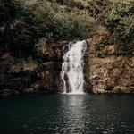 Waimea Valley