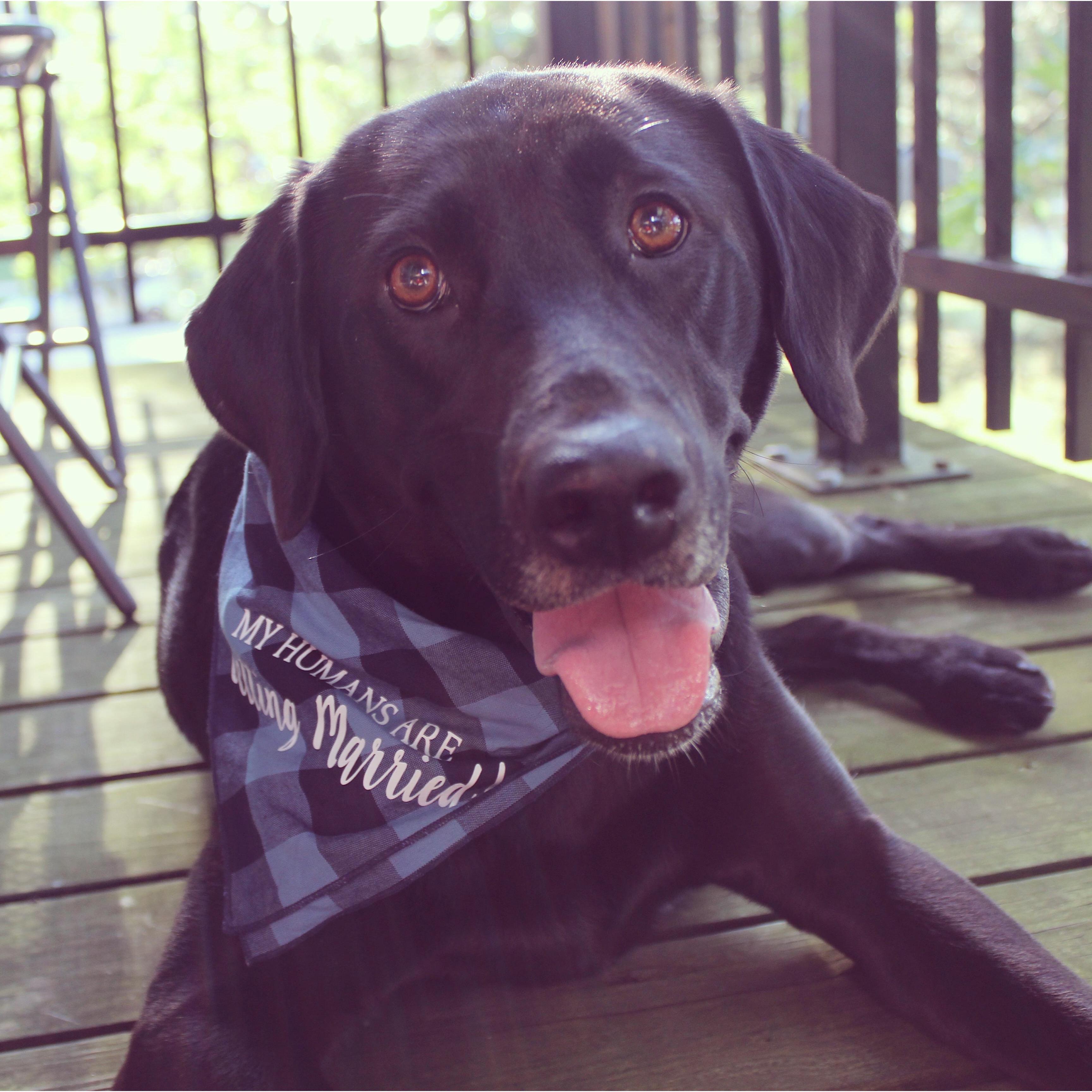 Wrigley Girl (August 2019)