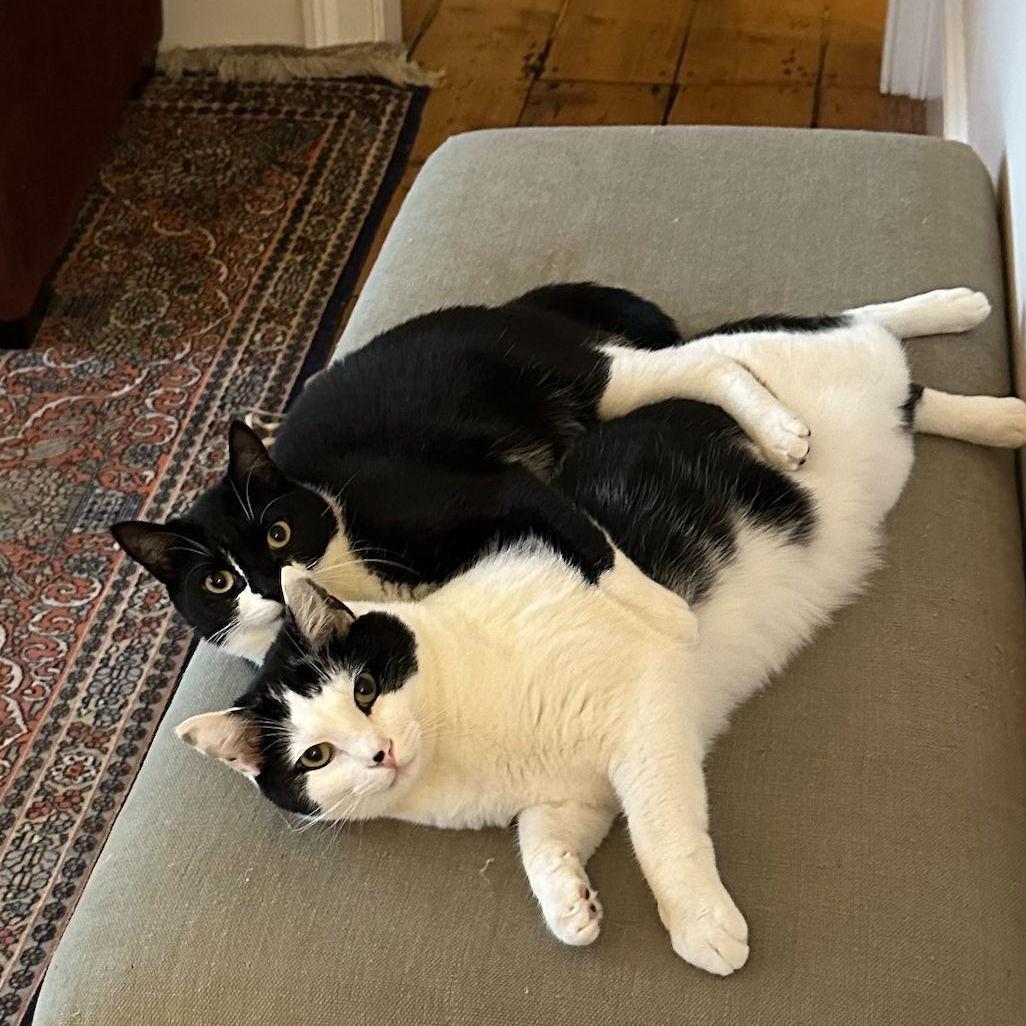True love.